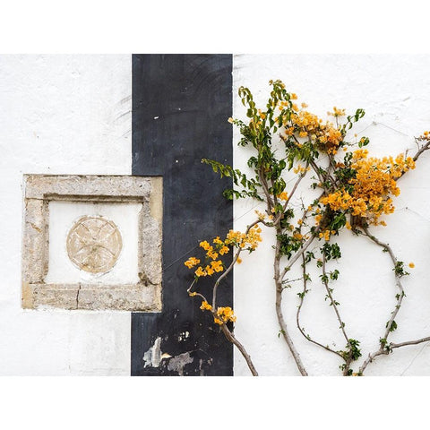 Portugal-Obidos-Orange bougainvillea growing against a wall and carved sculpture on wall Black Modern Wood Framed Art Print with Double Matting by Eggers, Julie