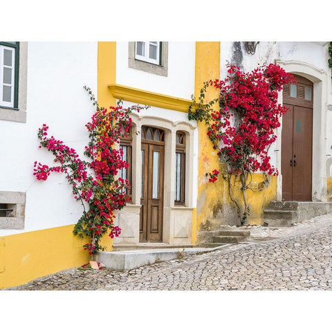 Portugal-Obidos-Dark pink bougainvillea vine growing along side the entrance of a home in the walle White Modern Wood Framed Art Print by Eggers, Julie
