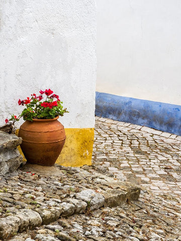 Portugal-Obidos-Red geranium growing in a terra cotta pot next to the entrance of a home in the his White Modern Wood Framed Art Print with Double Matting by Eggers, Julie