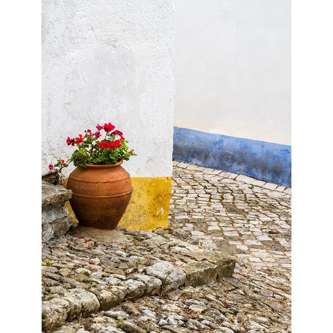 Portugal-Obidos-Red geranium growing in a terra cotta pot next to the entrance of a home in the his Black Modern Wood Framed Art Print by Eggers, Julie