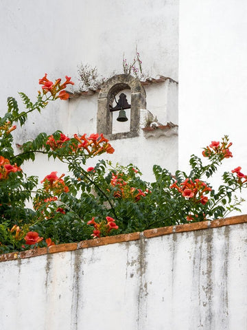 Portugal-Obidos-Orange trumpet vine growing below a church bell in the medieval village of Obidos White Modern Wood Framed Art Print with Double Matting by Eggers, Julie