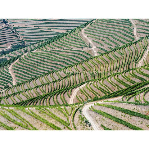 Portugal-Douro Valley-Terraced vineyards lining the hills Black Modern Wood Framed Art Print by Eggers, Julie