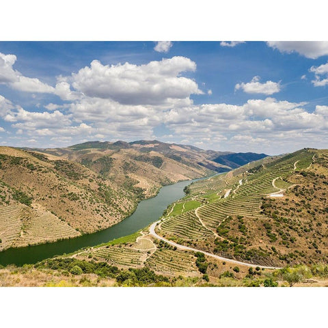 Portugal-Douro Valley-Douro River in the Portugal wine region and vineyards on hills along Douro Ri Black Modern Wood Framed Art Print by Eggers, Julie