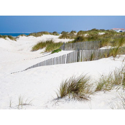 Portugal-Costa Nova-Beach grass-sand and old fence line at the beach resort of Costa Nova near Avei Black Modern Wood Framed Art Print by Eggers, Julie