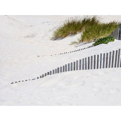 Portugal-Costa Nova-Beach grass-sand and old fence line at the beach resort of Costa Nova near Avei White Modern Wood Framed Art Print by Eggers, Julie