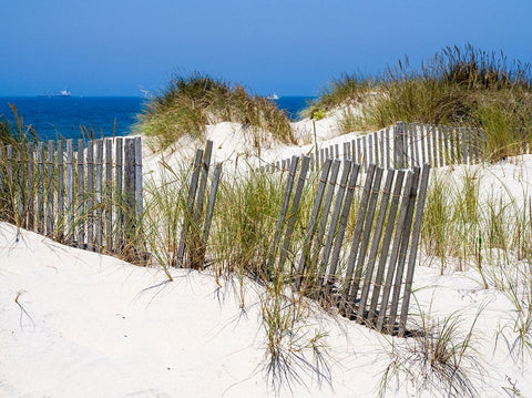 Portugal-Costa Nova-Beach grass-sand and old fence line at the beach resort of Costa Nova near Avei Black Ornate Wood Framed Art Print with Double Matting by Eggers, Julie