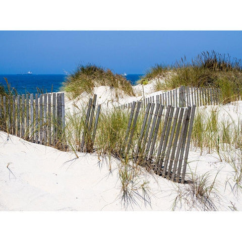 Portugal-Costa Nova-Beach grass-sand and old fence line at the beach resort of Costa Nova near Avei Gold Ornate Wood Framed Art Print with Double Matting by Eggers, Julie