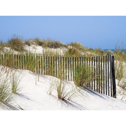 Portugal-Costa Nova-Beach grass-sand and old fence line at the beach resort of Costa Nova near Avei White Modern Wood Framed Art Print by Eggers, Julie