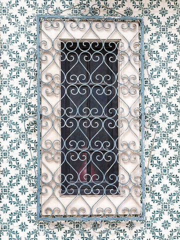Portugal-Aveiro-Shuttered window on tiled wall with wrought iron covering White Modern Wood Framed Art Print with Double Matting by Eggers, Julie