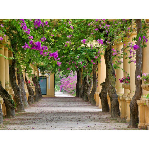 Portugal-Aveiro-Parque Dom Pedro Infante in Aveiro-Stone balustrade with pergola and columns Black Modern Wood Framed Art Print with Double Matting by Eggers, Julie
