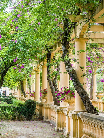 Portugal-Aveiro-Parque Dom Pedro Infante in Aveiro-Stone balustrade with pergola and columns White Modern Wood Framed Art Print with Double Matting by Eggers, Julie