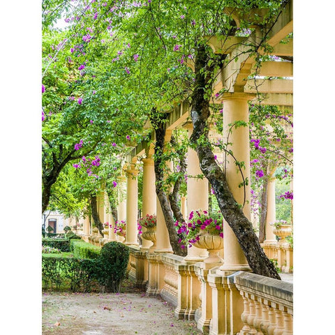 Portugal-Aveiro-Parque Dom Pedro Infante in Aveiro-Stone balustrade with pergola and columns Black Modern Wood Framed Art Print by Eggers, Julie