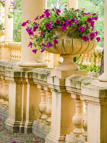 Portugal-Aveiro-Parque Dom Pedro Infante in Aveiro-Stone balustrade with pergola and columns White Modern Wood Framed Art Print with Double Matting by Eggers, Julie