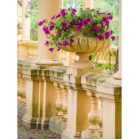 Portugal-Aveiro-Parque Dom Pedro Infante in Aveiro-Stone balustrade with pergola and columns Black Modern Wood Framed Art Print by Eggers, Julie
