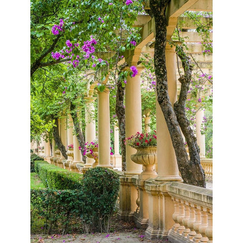Portugal-Aveiro-Parque Dom Pedro Infante in Aveiro-Stone balustrade with pergola and columns Gold Ornate Wood Framed Art Print with Double Matting by Eggers, Julie
