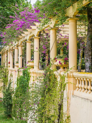 Portugal-Aveiro-Parque Dom Pedro Infante in Aveiro-Stone balustrade with pergola and columns White Modern Wood Framed Art Print with Double Matting by Eggers, Julie