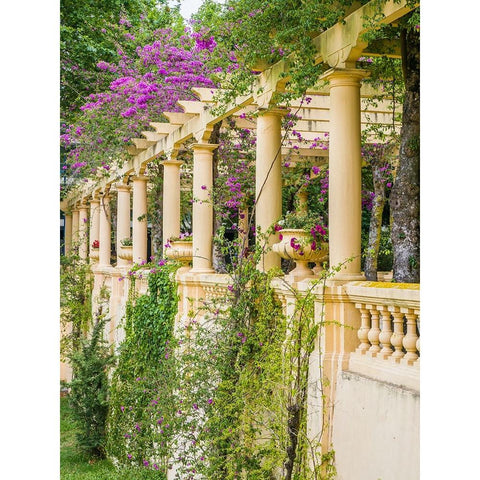 Portugal-Aveiro-Parque Dom Pedro Infante in Aveiro-Stone balustrade with pergola and columns Black Modern Wood Framed Art Print by Eggers, Julie