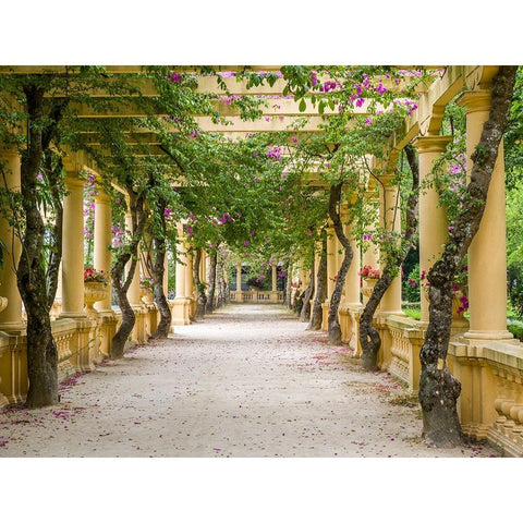 Portugal-Aveiro-Parque Dom Pedro Infante in Aveiro-Stone balustrade with pergola and columns Black Modern Wood Framed Art Print with Double Matting by Eggers, Julie