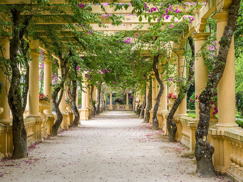 Portugal-Aveiro-Parque Dom Pedro Infante in Aveiro-Stone balustrade with pergola and columns White Modern Wood Framed Art Print with Double Matting by Eggers, Julie