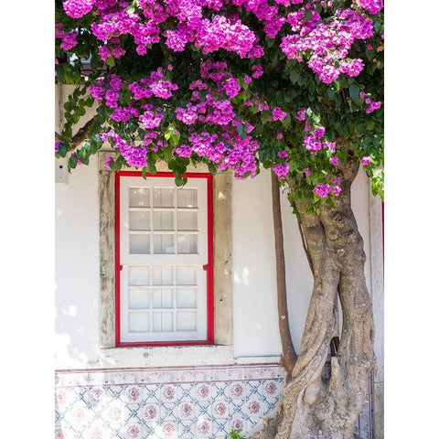 Portugal-Lisbon-Pink flowers of Bougainvillea plant and historical building next to Miradouro de Sa Black Modern Wood Framed Art Print by Eggers, Julie