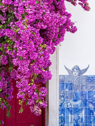 Portugal-Lisbon-Pink flowers of Bougainvillea plant and historical building next to Miradouro de Sa White Modern Wood Framed Art Print with Double Matting by Eggers, Julie