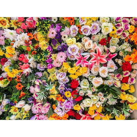 Portugal-Lisbon-The San Antonio wall flowers near the entrance of the Museu de Lisboa Black Modern Wood Framed Art Print with Double Matting by Eggers, Julie