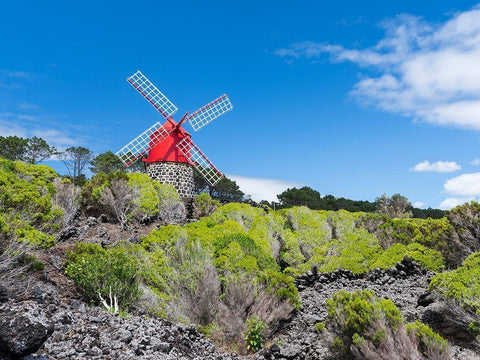 Traditional windmill near Sao Joao Pico Island-an island in the Azores in the Atlantic Ocean  Black Ornate Wood Framed Art Print with Double Matting by Zwick, Martin