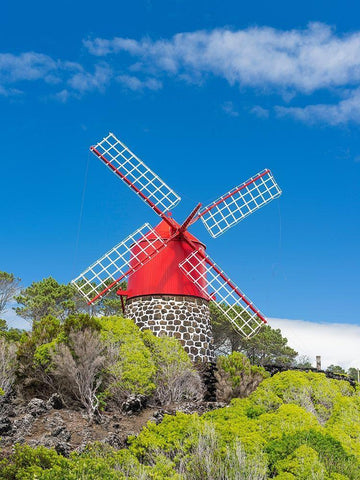 Traditional windmill near Sao Joao Pico Island-an island in the Azores in the Atlantic Ocean  Black Ornate Wood Framed Art Print with Double Matting by Zwick, Martin
