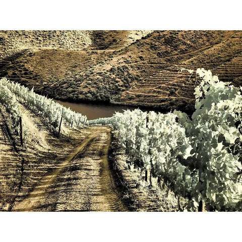 Portugal-Douro Valley-Backcountry road through the vineyards Gold Ornate Wood Framed Art Print with Double Matting by Eggers, Terry
