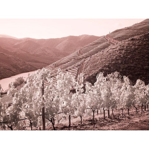 Portugal-Douro Valley-Vineyards draping the hills Black Modern Wood Framed Art Print by Eggers, Terry