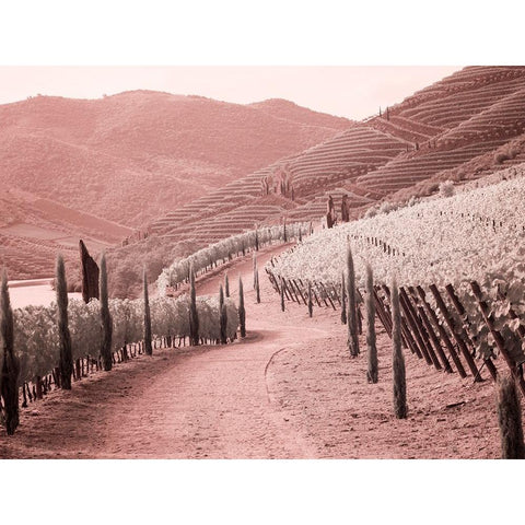 Portugal-Douro Valley-Backcountry road through the vineyards Black Modern Wood Framed Art Print by Eggers, Terry