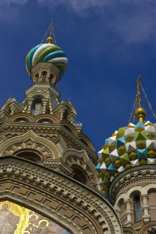 Russia Church of the Savior on the Spilled Blood Black Ornate Wood Framed Art Print with Double Matting by Ross, Nancy ,  Steve