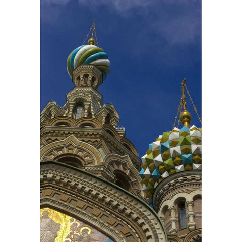 Russia Church of the Savior on the Spilled Blood Gold Ornate Wood Framed Art Print with Double Matting by Ross, Nancy ,  Steve