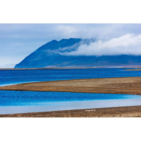 Beach on the island-Cape Vankarem-Wrangel Island-Chukchi Sea-Russia Far East Black Modern Wood Framed Art Print by Su, Keren