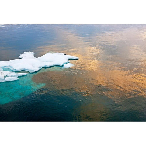 Sunset view of floating ice on Bering Sea-Russia Far East Black Modern Wood Framed Art Print by Su, Keren