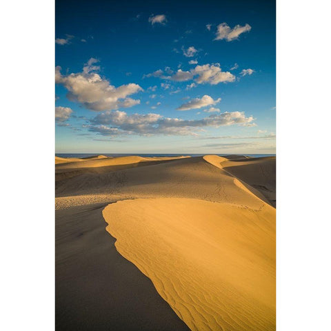 Spain-Canary Islands-Gran Canaria Island-Maspalomas-Maspalomas Dunes National Park Black Modern Wood Framed Art Print with Double Matting by Bibikow, Walter