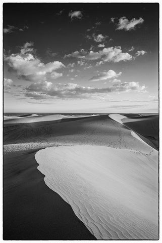 Spain-Canary Islands-Gran Canaria Island-Maspalomas-Maspalomas Dunes National Park White Modern Wood Framed Art Print with Double Matting by Bibikow, Walter