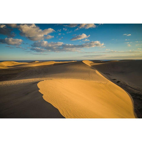 Spain-Canary Islands-Gran Canaria Island-Maspalomas-Maspalomas Dunes National Park Gold Ornate Wood Framed Art Print with Double Matting by Bibikow, Walter