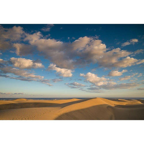 Spain-Canary Islands-Gran Canaria Island-Maspalomas-Maspalomas Dunes National Park Gold Ornate Wood Framed Art Print with Double Matting by Bibikow, Walter