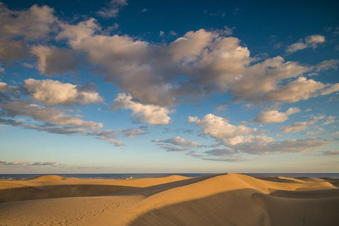 Spain-Canary Islands-Gran Canaria Island-Maspalomas-Maspalomas Dunes National Park Black Ornate Wood Framed Art Print with Double Matting by Bibikow, Walter