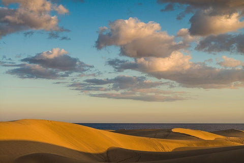 Spain-Canary Islands-Gran Canaria Island-Maspalomas-Maspalomas Dunes National Park Black Ornate Wood Framed Art Print with Double Matting by Bibikow, Walter