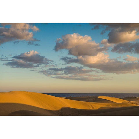 Spain-Canary Islands-Gran Canaria Island-Maspalomas-Maspalomas Dunes National Park Black Modern Wood Framed Art Print by Bibikow, Walter