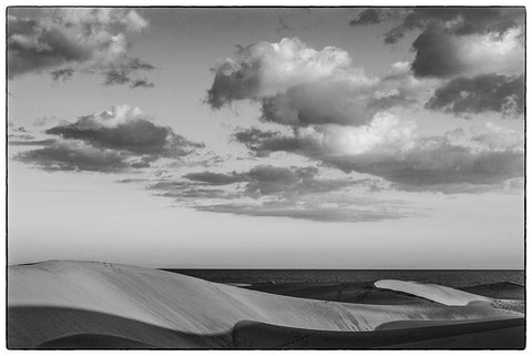 Spain-Canary Islands-Gran Canaria Island-Maspalomas-Maspalomas Dunes National Park White Modern Wood Framed Art Print with Double Matting by Bibikow, Walter