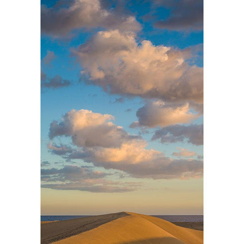 Spain-Canary Islands-Gran Canaria Island-Maspalomas-Maspalomas Dunes National Park White Modern Wood Framed Art Print by Bibikow, Walter