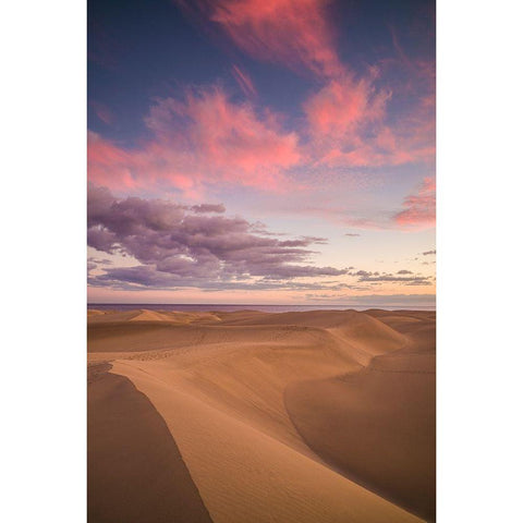 Spain-Canary Islands-Gran Canaria Island-Maspalomas-Maspalomas Dunes National Park-dusk Gold Ornate Wood Framed Art Print with Double Matting by Bibikow, Walter