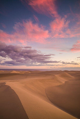 Spain-Canary Islands-Gran Canaria Island-Maspalomas-Maspalomas Dunes National Park-dusk Black Ornate Wood Framed Art Print with Double Matting by Bibikow, Walter