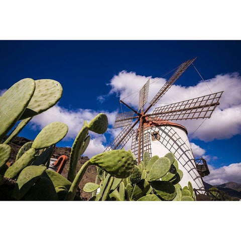 Spain-Canary Islands-Gran Canaria Island-Puerto de Mogan-antique windmill Gold Ornate Wood Framed Art Print with Double Matting by Bibikow, Walter