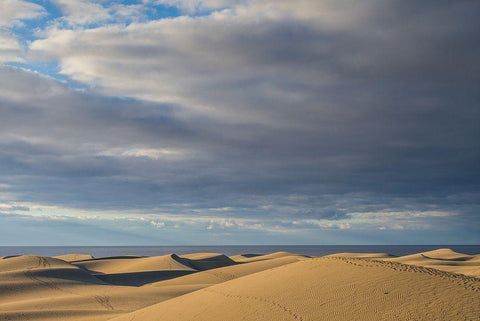Spain-Canary Islands-Gran Canaria Island-Maspalomas-Maspalomas Dunes National Park White Modern Wood Framed Art Print with Double Matting by Bibikow, Walter