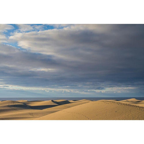 Spain-Canary Islands-Gran Canaria Island-Maspalomas-Maspalomas Dunes National Park Gold Ornate Wood Framed Art Print with Double Matting by Bibikow, Walter