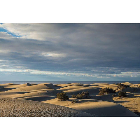 Spain-Canary Islands-Gran Canaria Island-Maspalomas-Maspalomas Dunes National Park Gold Ornate Wood Framed Art Print with Double Matting by Bibikow, Walter